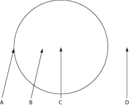 <strong>Use the information to answer the following question. The figure depicts the outline of a large fairy ring that has appeared overnight in an open meadow, as viewed from above. The fairy ring represents the furthest advance of this mycelium through the soil. Locations A-D are all 0.5 meters below the soil surface. Where would you expect to find the oldest portion of this mycelium?</strong> A) location A B) location B C) location C D) location D