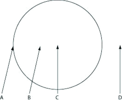 <strong>Use the information to answer the following question. Which location is nearest to basidiocarps?</strong> A) A B) B C) C D) D