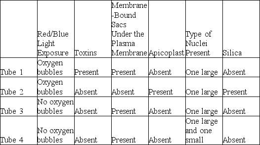 You are given four test tubes, each containing an unknown protist, and your task is to read the following description and match these four protists to the correct test tube. Use the information in the table to answer the question. Based on these data, what type of organism is present in tube 1?