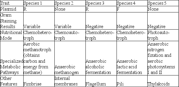 <strong>The following table depicts characteristics of five prokaryotic species (1-5). Use the information in the table to answer the following question. Which two species contain more cytoplasmic phospholipid membranes than the others?</strong> A) species 1 and 2 B) species 1 and 3 C) species 2 and 5 D) species 3 and 4