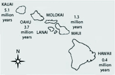<strong>The following questions are based on information from Yeh P., Rapid evolution of a sexually selected trait following population establishment in a novel habitat, Evolution 58(1):166-74 (2004). The Hawaiian Islands are the tops of undersea volcanoes in the Pacific Ocean. The oldest islands are the northwest-most islands. The islands get progressively younger to the southeast. Hawaii, the big island, arose from the ocean less than one million years ago. Which of the following processes likely most strongly influenced the evolution of life on the big island when organisms first arrived?</strong> A) the bottleneck effect B) sexual selection C) habitat differentiation D) the founder effect