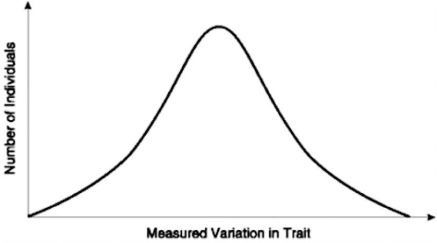 <strong> In a very large population, a measurable trait has the distribution pattern shown in the diagram. Assume the trait is genetically determined. If there is no gene flow and the curve shifts to the left or to the right, which of the following processes is most likely occurring?</strong> A) immigration or emigration B) directional selection C) disruptive selection D) genetic drift