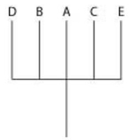 <strong>The question refers to the table, which compares the percent sequence homology of four different parts of a gene (two introns and two exons) that is found in five different eukaryotic species. The data show the percentage of sequence homology of each intron and exon in comparison to the sequences in species A. % Sequence Homology   Based on the data in the table, which phylogenetic tree is the most likely depiction of the evolutionary relationships among these five species?</strong> A)   B)   C)   D)   <div style=padding-top: 35px> 