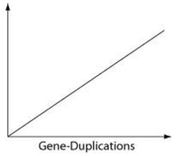 <strong>Which of the following items is most likely to form a simple linear relationship with the number of gene-duplication events, when placed as the label on the vertical axis of the following graph?  </strong> A) number of mitochondria B) number of cells/organism C) genome size D) phenotypic complexity <div style=padding-top: 35px> 