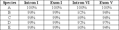 <strong>The question refers to the table, which compares the percent sequence homology of four different parts of a gene (two introns and two exons) that is found in five different eukaryotic species. The data show the percentage of sequence homology of each intron and exon in comparison to the sequences in species A. Percentage of Sequence Homology   Which of these four gene parts should allow the construction of the most accurate phylogenetic tree, assuming that this is the only part of the gene that has acted as a reliable molecular clock?</strong> A) Intron I B) Exon I C) Intron VI D) Exon V <div style=padding-top: 35px> 