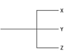 <strong>Currently, two of the living elephant species (X and Y) are placed in the genus Loxodonta, and a third surviving species (Z) is placed in the genus Elephas. Assuming this classification reflects evolutionary relatedness, which of the following is the most accurate evolutionary tree?</strong> A) B) C) D)