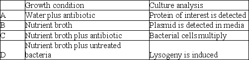 <strong>Use the following information to answer the question. In an effort to produce large amounts of a eukaryotic gene product, a plasmid that contains both a eukaryotic gene of interest and an antibiotic resistant gene was constructed. A transformation was performed to attempt to insert the plasmid into the bacterium, E. coli. Which of the following describes a growth condition and culture analysis that supports the claim that plasmid has entered the E. coli bacterial cell. </strong> A) A B) B C) C D) D