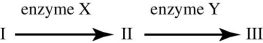 <strong>Use the figure to answer the question. The figure shows a simple metabolic pathway. According to Beadle and Tatum's hypothesis, how many genes are necessary for this pathway?</strong> A) 2 B) 3 C) 5 D) It cannot be determined from the information provided.
