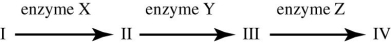 <strong>Use the figure to answer the question. Refer to the metabolic pathway illustrated. If I, II, III, and IV are all required for growth, a bacterial strain that does not make enzyme X would be able to grow on medium supplemented with which of the following nutrient(s)?</strong> A) nutrient A only B) nutrient B only C) nutrients A and B only D) nutrients B, C, and D only