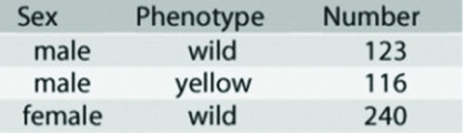<strong>Use the following information to answer the question. In a Drosophila experiment a homozygous wild-type female was crossed with a yellow-bodied male. All of the resulting F1 flies were phenotypically wild type. Crossing the F1 flies resulted in F2 flies having the characteristics shown in the figure. Which of the following statements best describes the location of the yellow body locus?</strong> A) It is on an autosome. B) It is X-linked. C) It is inherited by X inactivation. D) It is Y-linked.