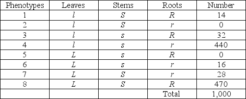 <strong>Use the following information to answer the question. A plantlike organism on the hypothetical planet Pandora has three genetic traits: leaf color, controlled by gene L; a stem texture, controlled by gene S; and root length controlled by gene R. The three genes are linked and recombine. A geneticist performed a testcross with a strain of the organism that is heterozygous for the three traits. She recorded progeny with the following phenotypic distribution: What is the approximate distance between genes L and S?</strong> A) 3 map units B) 6 map units C) 15 map units D) 30 map units