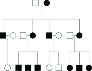 <strong>Use the following figure to answer the question. Shaded symbols indicate affected individuals. The pedigree in the figure shows the transmission of a trait in a particular family. Based on this pattern of transmission, the trait is most likely ________.</strong> A) mitochondrial B) sex-linked dominant C) sex-linked recessive D) autosomal dominant