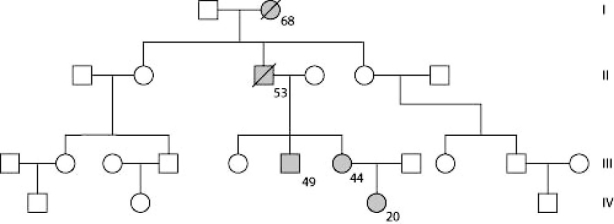 <strong>The figure shows the pedigree of a family. Dark-shaded symbols represent individuals with one of the two major types of colon cancer. Numbers under the symbols are the individual's age at the time of diagnosis. Males are represented by squares, females by circles. Based on this pedigree, this trait is most likely inherited ________.</strong> A) by older individuals B) as a recessive trait C) as a result of epistasis D) as a dominant trait