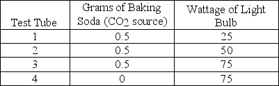 <strong>Lab students placed ten spinach leaf disks in each of three test tubes containing a baking soda solution and a control tube without baking soda. The volume of liquid in each tube and the temperature of the solutions were held constant. All tubes were placed an equal distance from the light source indicated in the accompanying table. After 10 minutes, the amount of oxygen present in each sample was measured. Which tube is expected to produce the least amount of oxygen?</strong> A) Tube 1 B) Tube 2 C) Tube 3 D) Tube 4
