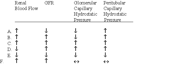 Which of the following changes would you expect to find after administration of a vasodilator that selectively reduced afferent arteriolar resistance?