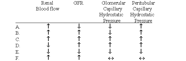 Which set of changes would you expect to find after a selective decrease in efferent arteriolar resistance?
