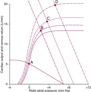 For the following cardiac output and venous return curves defined by the dashed lines (with the equilibrium at B), which of the following is true?