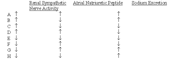 A balloon catheter is advanced from the superior vena cava into the heart and inflated to increase atrial pressure by 10 mm Hg. Which set of physiological changes would be expected to occur in response to the elevated atrial pressure?