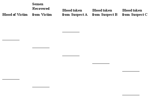 <strong>Use this DNA STR pattern of evidence from a rape investigation to answer the following question(s). The evidence suggests which suspect raped the victim?</strong> A)Suspect A B)Suspect B C)Suspect C D)The evidence shows that none of these suspects is a match.