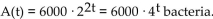<strong>Solve. A single bacterium divides every 0.5 hour to produce two complete bacteria. If we start with a colony of 6000 bacteria, after t hours there will be A . Find A'(t) and A'(1).</strong> A) B) C) D)