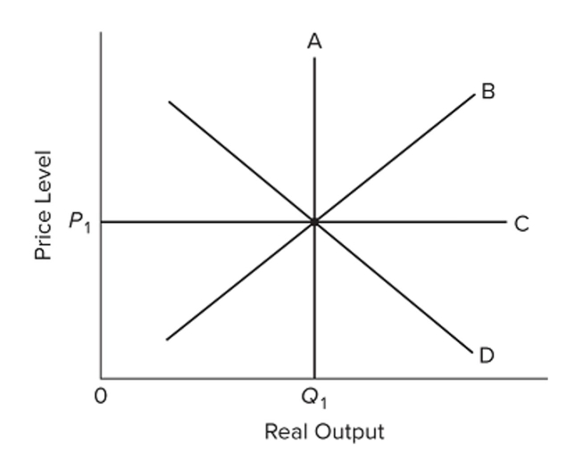 <strong> Refer to the diagram. The long-run aggregate supply curve is</strong> A) A. B) B. C) C. D) D.