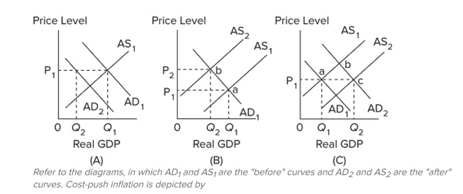 <strong> </strong> A) A. B) B. C) C. D) B and C.