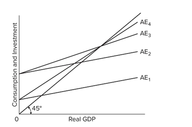 <strong> Which two aggregate expenditure schedules AE in the diagram for a private closed economy have the same MPC, assuming investment is the same at each level of income?</strong> A) AE1 and AE2 B) AE2 and AE3 C) AE1 and AE4 D) AE3 and AE4