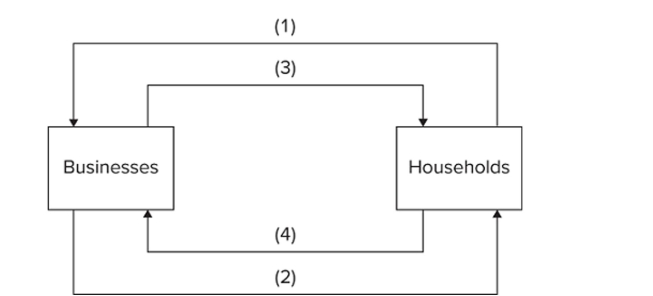   Refer to the diagram. Arrows (3) and (4) represent