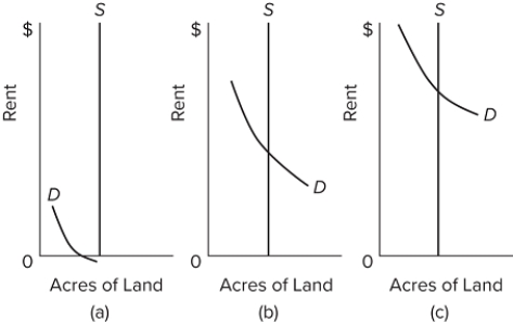 <strong> Refer to the diagrams. Assume that only wheat can be grown on the three grades of land shown in Figures (a), (b), and (c). Also assume that identical amounts of labor, capital, and other needed inputs are used in farming each grade of land. On the basis of these three figures, we</strong> A)the land shown in both Figures (a)and (b)is a free good. B)the land shown in Figure (a)only is a free good. C)the land shown in all three figures is a free good. D)land is not a free good in any of the three figures.