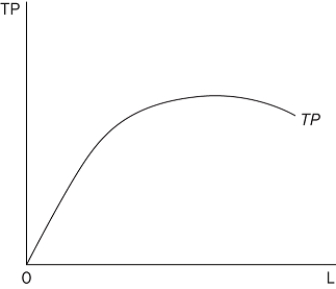 Refer to the graph, where TP = total product and L = labor input. The marginal product of labor (MP)
