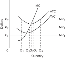   The provided graph gives short-run data for a firm. If the product price is P ₂, the firm will