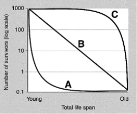 Figure 53-5 Use the figure to answer the corresponding question(s). -Refer to Figure 53-5.The survivorship curve for elephants would be represented by the curve labeled: