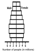 <strong>Figure 53-6 Use the figure to answer the corresponding question(s). Figure 53-6 represents the age structure diagram of:</strong> A) the transition stage. B) the preindustrial state. C) a moderately developed country. D) a developing country. E) a highly developed country.