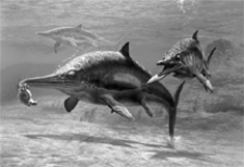 <strong>Figure 21-2 Use the figure to answer the corresponding question(s). The animal in Figure 21-2 represents:</strong> A) a mosasaur. B) an ichthyosaur. C) a pterosaur. D) a thecodont. E) a plesiosaur.