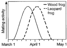 <strong>Based on the data in the figure, a likely reason for speciation between these two sympatric species of frogs is: </strong> A) allopolyploidy. B) mechanical isolation. C) habitat isolation. D) temporal isolation. E) hybrid inviability.