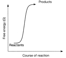 <strong>Figure 7-1 Use the figure to answer the corresponding question(s). Energy stored within the molecules of ATP is in the form of __________ energy.</strong> A) kinetic B) heat C) potential D) nuclear E) light