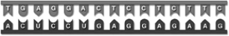 <strong>  In this depiction of transcription, the ____ strand is ____ because it ____.</strong> A) upper; RNA; is single-stranded. B) lower; RNA; contains uracil. C) lower; RNA; contains thymine. D) upper; RNA; has no uracil (U). E) lower; DNA; contains adenine (A). <div style=padding-top: 35px> 