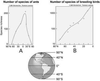 <strong> Use the figure above to answer the following questions.The graphs illustrate diversity patterns for ants (A) and breeding birds (B). Which graph shows that species diversity is much less at the equator than at 60 degrees north latitude?</strong> A) A B) B C) both D) neither E) not enough data is provided to answer the question