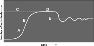 <strong> The following questions refer to the figure above illustrating logistic growth. The population is in exponential growth at</strong> A) A. B) B. C) C. D) D. E) E.