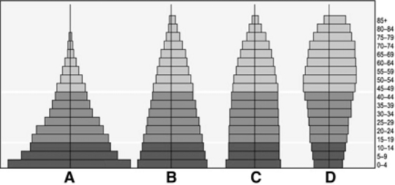 <strong> The following questions refer to the age structure diagrams above. A declining population is indicated by</strong> A) A. B) B. C) C. D) D. E) none of these.
