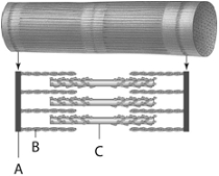 <strong> Use the figure above to answer the following questions. The structure indicated by the letter C above represents</strong> A) actin. B) myofibril. C) myosin. D) myofilament. E) muscle fiber.