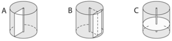 <strong> Use the figure above to answer the following questions. The letter C in the above figure represents</strong> A) transverse. B) radial. C) tangential. D) elliptical. E) obtuse.