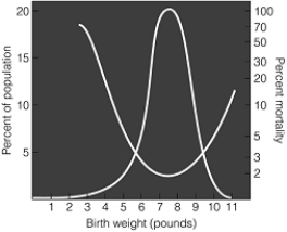<strong> This graph shows both human birth weight and newborn infant mortality.The most common birth weight is between seven and eight pounds.Human birth weight seems to be an example of</strong> A) directional selection. B) stabilizing selection. C) sexual selection. D) disruptive selection. E) artificial selection.