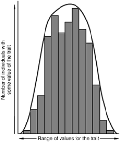 <strong> A graph of phenotypic variation similar to the illustration above strongly suggests</strong> A) incomplete dominance. B) codominance. C) epistasis. D) polygenic inheritance. E) environmental effects on phenotype.