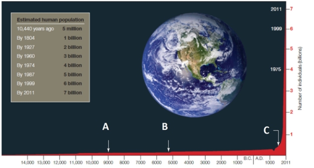 Letter B designates the ____, which allowed for an increase in human population growth.