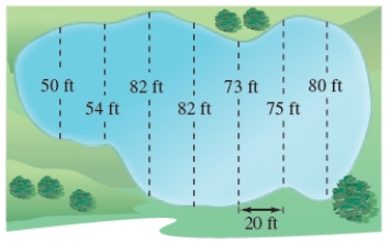 Estimate the surface area of the pond shown in the figure using the Midpoint Rule.