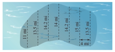 Estimate the surface area of the oil spill shown in the figure using the Midpoint Rule.