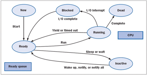 FIGURE 15-1 -Figure 15-1 above shows stages in the life of a(n) ____.