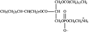 <strong>Instructions: Match each of the given terms to a structure from the list below. There is only one correct structure for each term, and structures may be used more than once. A sphingolipid</strong> A) B) C) D) E) F) G)Malonyl ACP H) I) J)