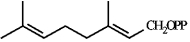 <strong>Instructions: Match each of the given terms to a structure from the list below. There is only one correct structure for each term, and structures may be used more than once. A sphingolipid</strong> A) B) C) D) E) F) G)Malonyl ACP H) I) J)